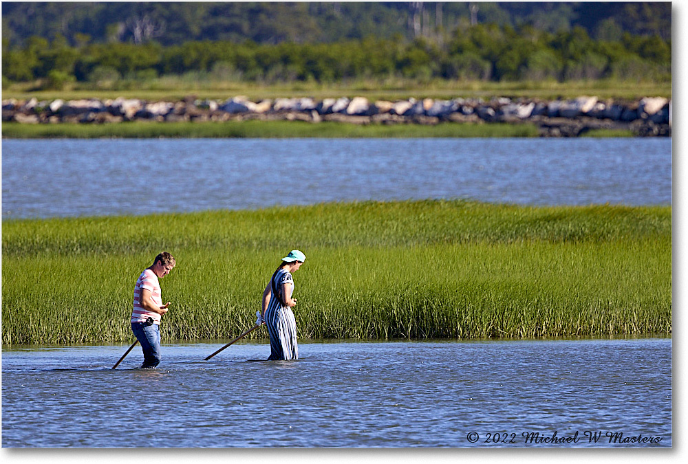 OysterHunting_Assateague_2022Jun_R5A07852 copy