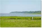 Birdwatcher_Assateague_2022Jun_SRX00032 copy