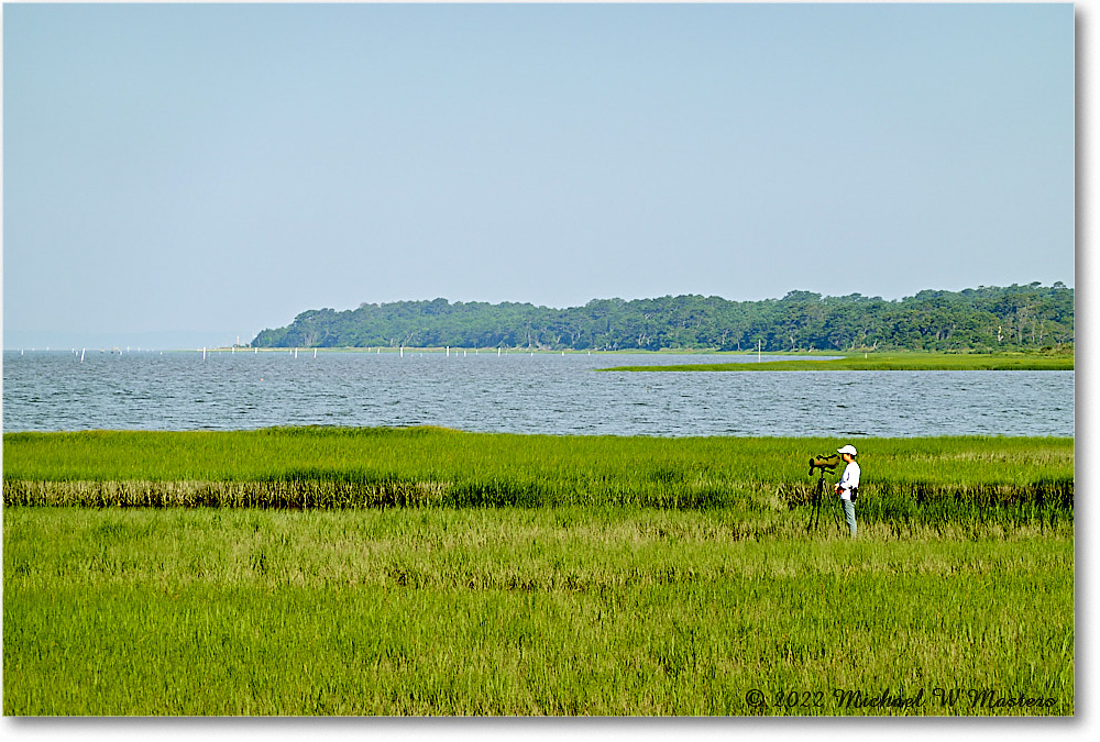 2022Jun_Birdwatcher_Assateague_SRX00032