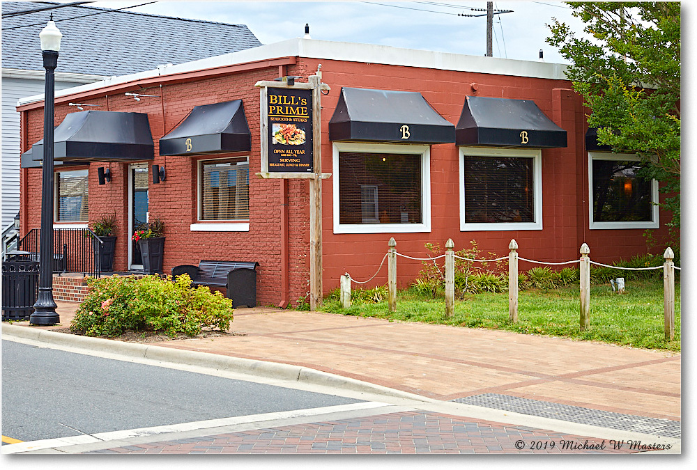 Chincoteague_2019Jun_5D4A1431 copy