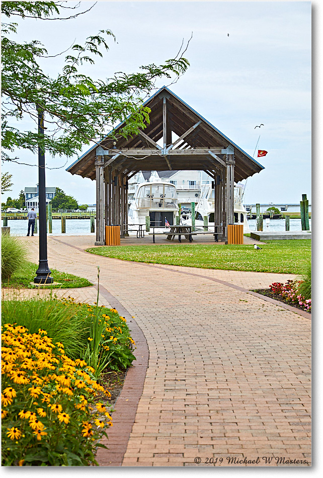 Chincoteague_2019Jun_5D4A1450 copy