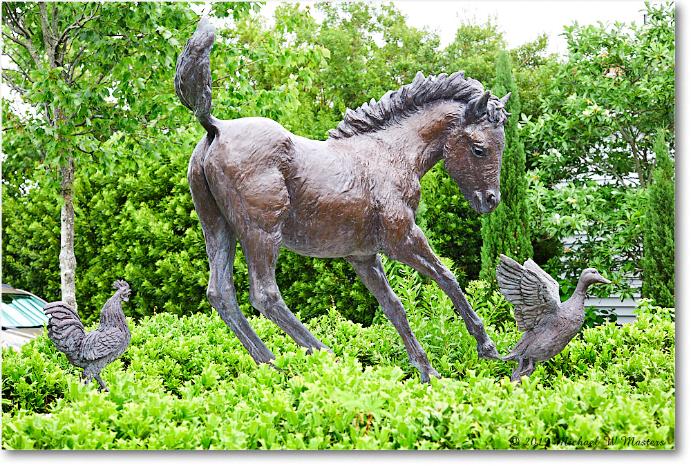 Chincoteague_2019Jun_5D4A1456 copy
