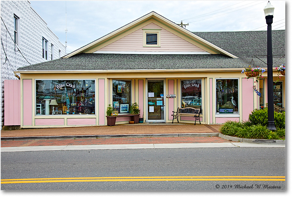 Chincoteague_2019Jun_5D4A1457 copy