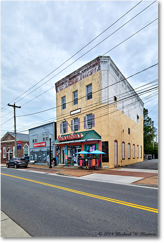 Chincoteague_2019Jun_5D5A1506 copy