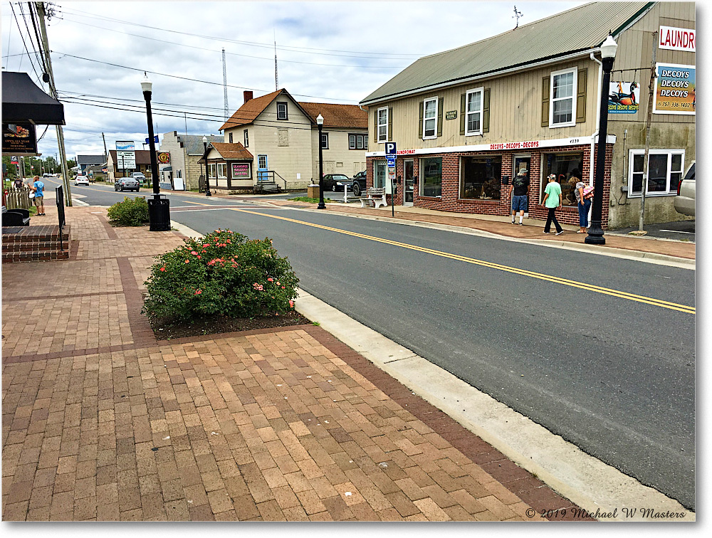 Chincoteague_2019Jun_IMG_0376 copy