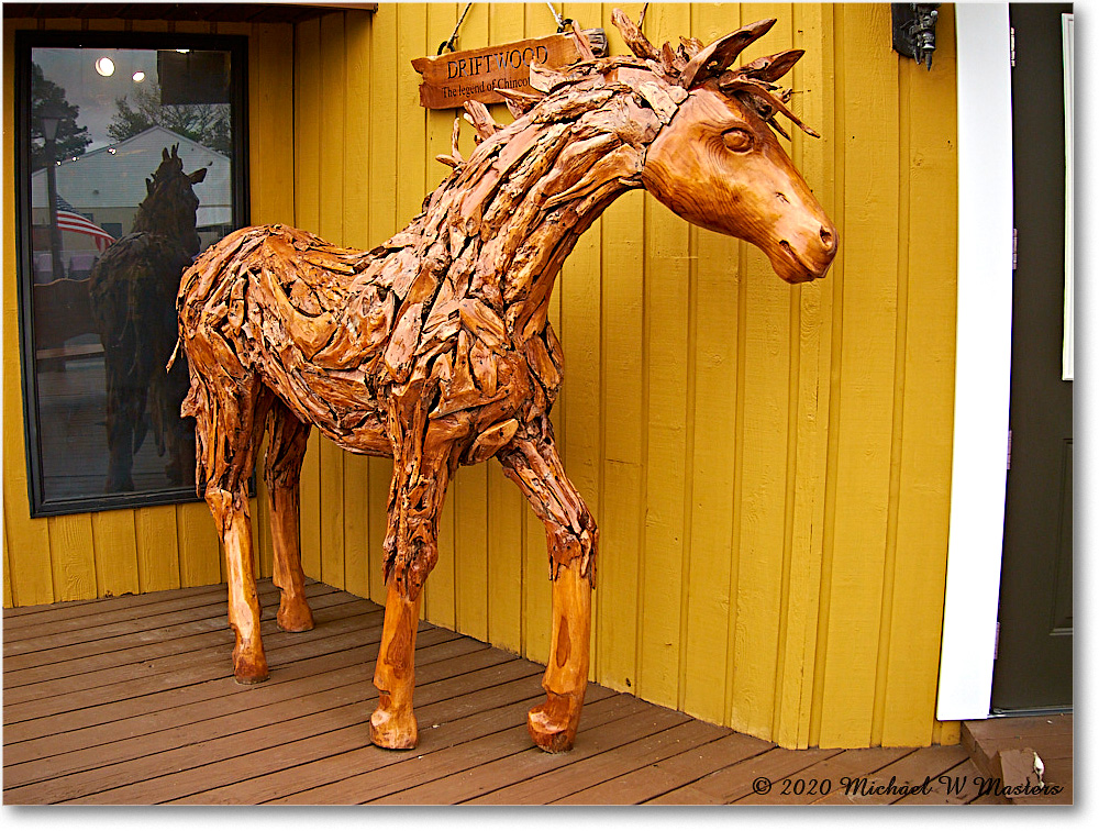 Chincoteague_2020Jun_IMG_4018 copy