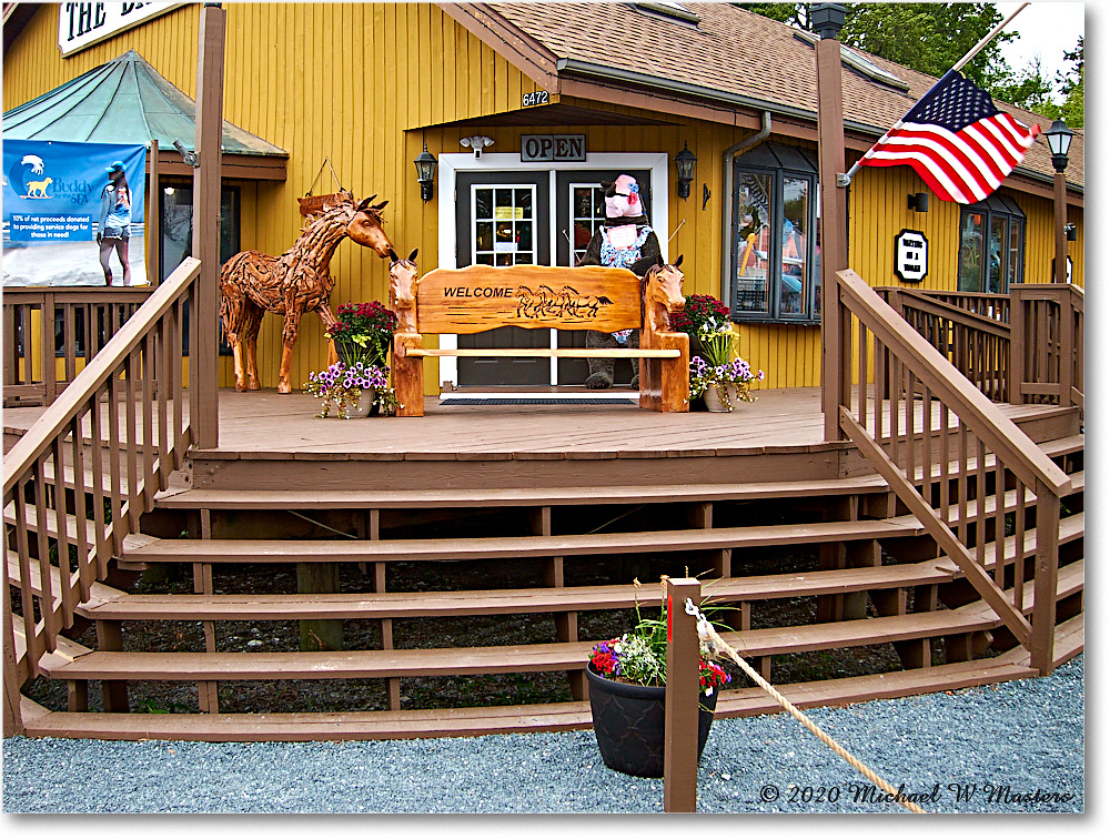 Chincoteague_2020Jun_IMG_4024 copy