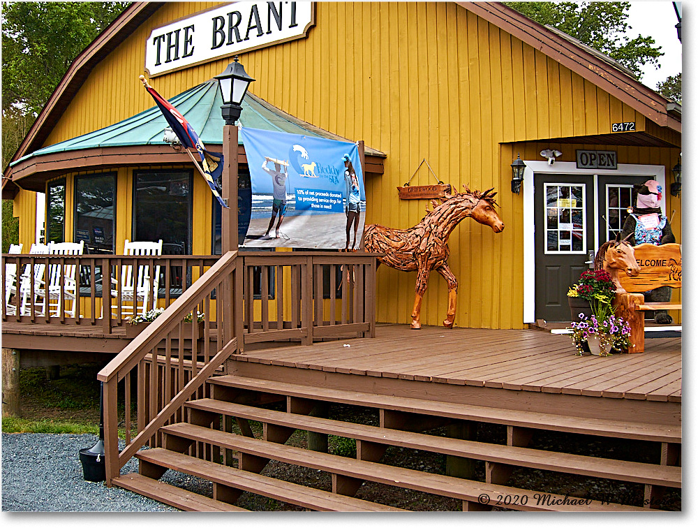 Chincoteague_2020Jun_IMG_4025 copy