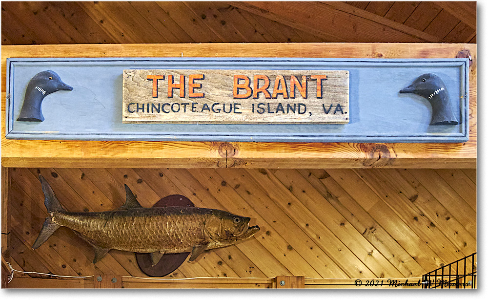 Chincoteague_2021Jun_IMG_4072 copy