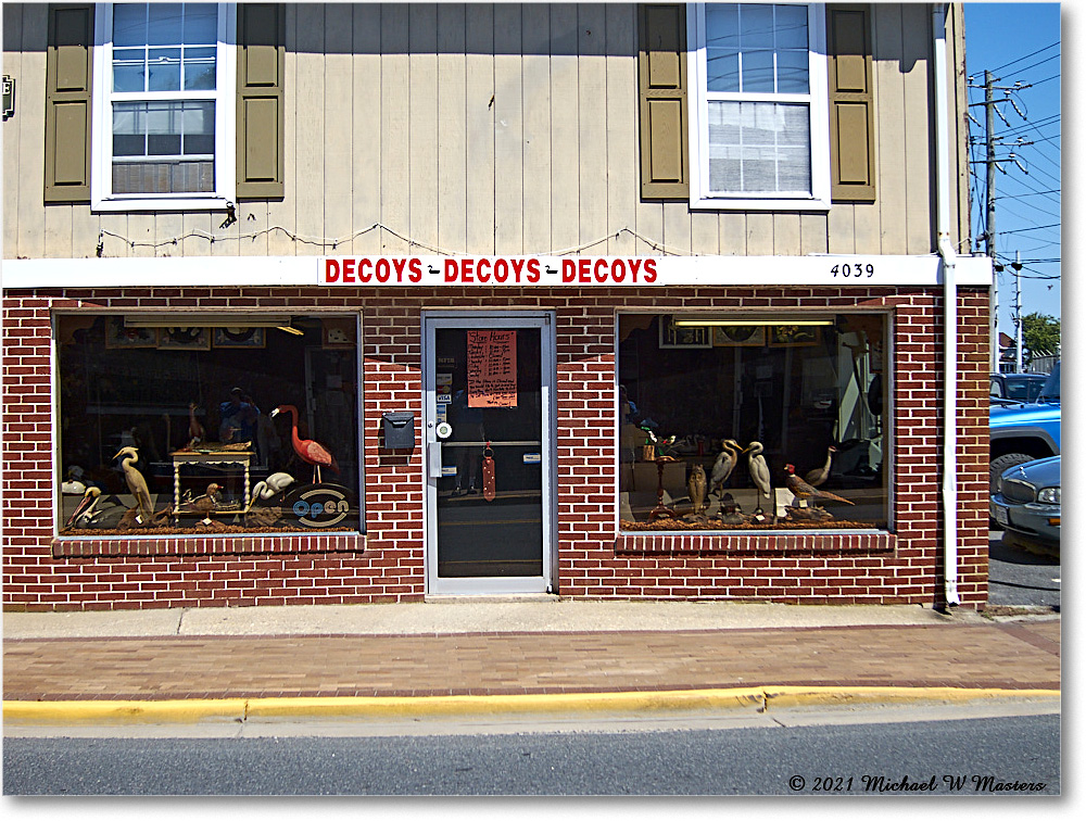Chincoteague_2021Jun_IMG_4079 copy