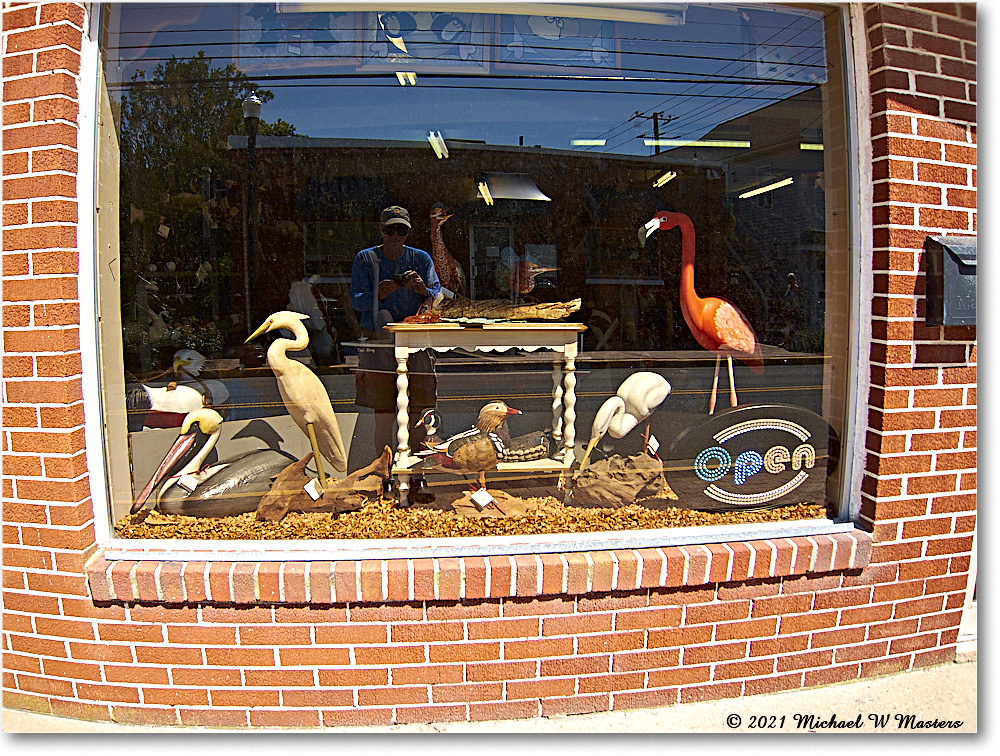 Chincoteague_2021Jun_IMG_4080 copy