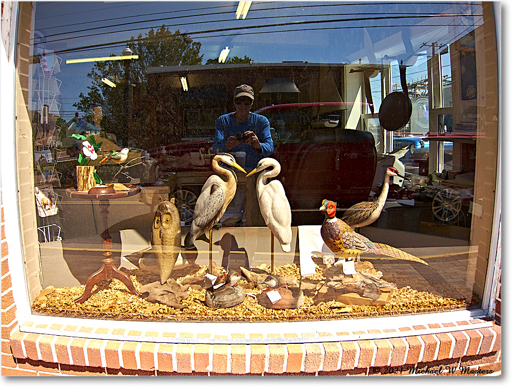 Chincoteague_2021Jun_IMG_4081 copy