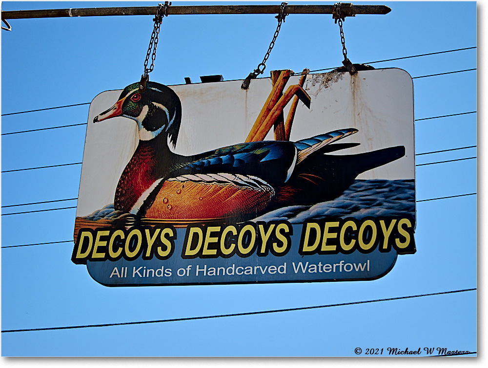Chincoteague_2021Jun_IMG_4082 copy