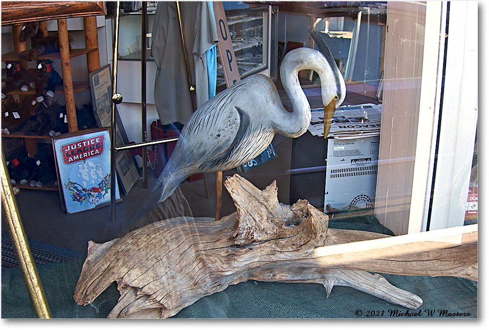 Chincoteague_2021Jun_IMG_4087 copy