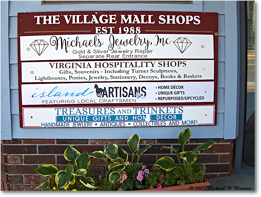Chincoteague_2021Jun_IMG_4096 copy