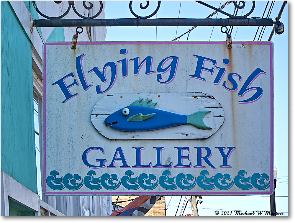 Chincoteague_2021Jun_IMG_4098 copy