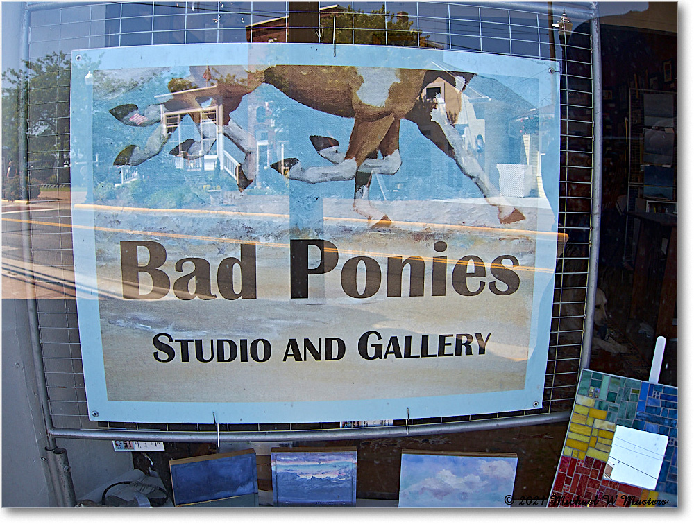 Chincoteague_2021Jun_IMG_4108 copy