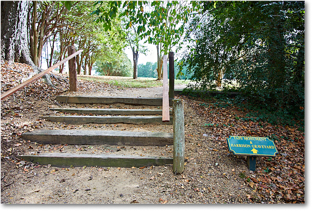 BerkeleyPlantation_2019Oct_5D4A2092 copy