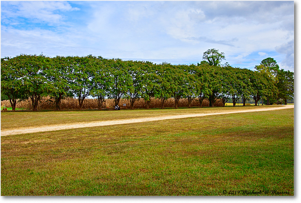 BerkeleyPlantation_2019Oct_5D4A2098 copy