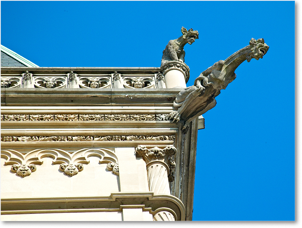 Gargoyles-2005June-BiltmoreNC1FFT7470 copy