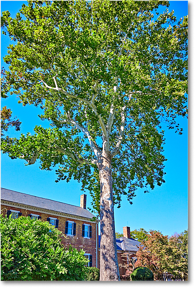 ChathamManor_2020Oct_R5B00047 copy