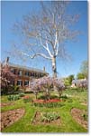 ChathamManor-Fburg-2014Apr_S3A7853 copy
