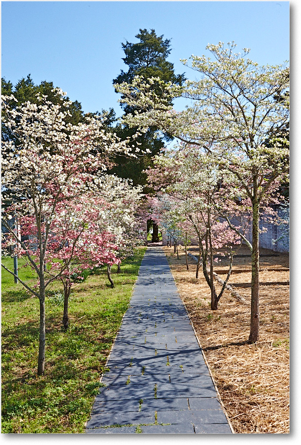 ChathamManor-Fburg-2014Apr_S3A7799 copy