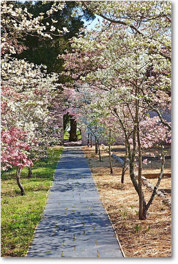 ChathamManor-Fburg-2014Apr_S3A7800 copy