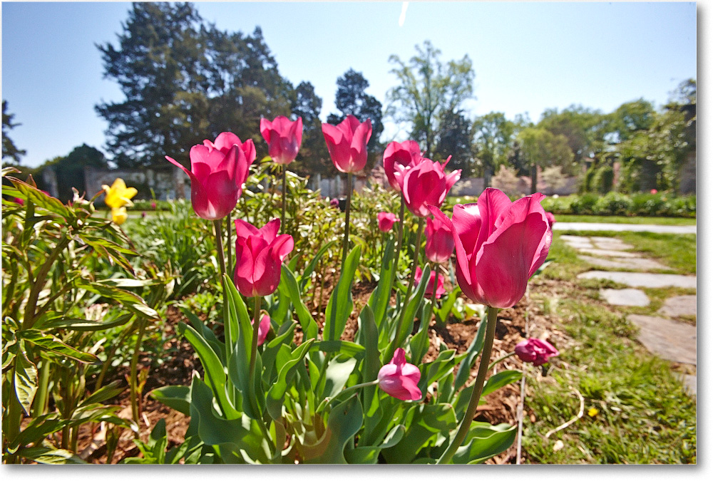 ChathamManor-Fburg-2014Apr_S3A7881 copy