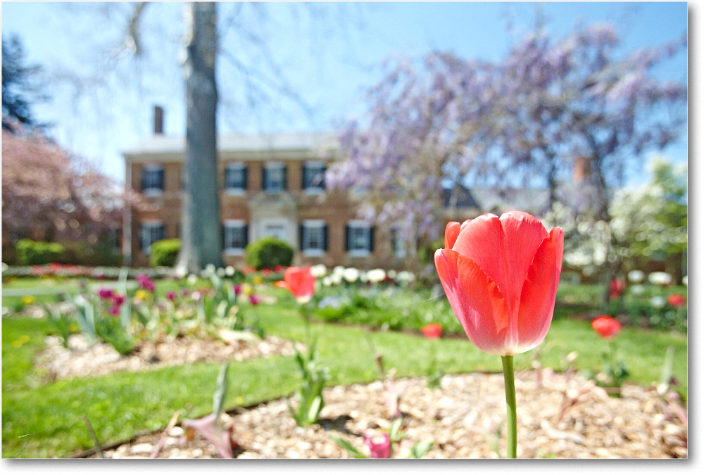 ChathamManor-Fburg-2014Apr_S3A7885 copy
