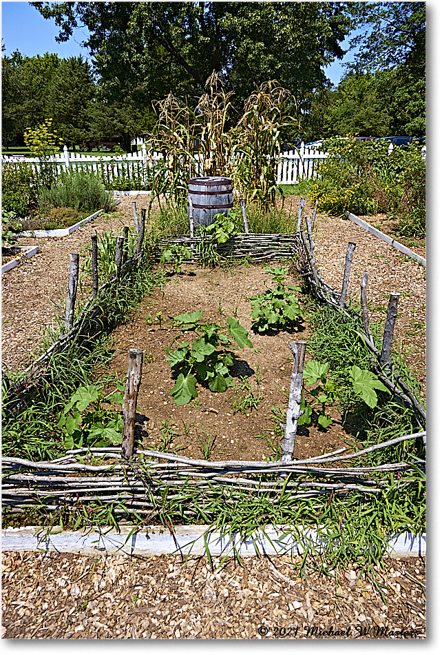 FerryFarm_Garden_2021Aug_R5B04152