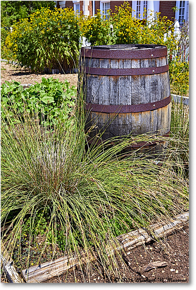 FerryFarm_Garden_2021Aug_R5B04155