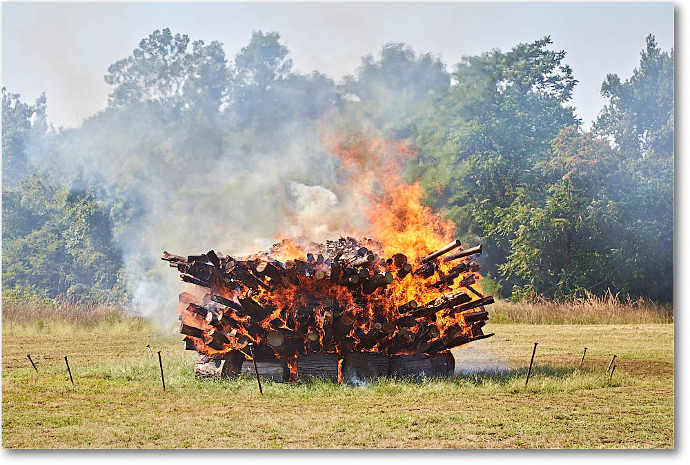 FerryFarm_LimeRick_2016Sept_2DXB3590
