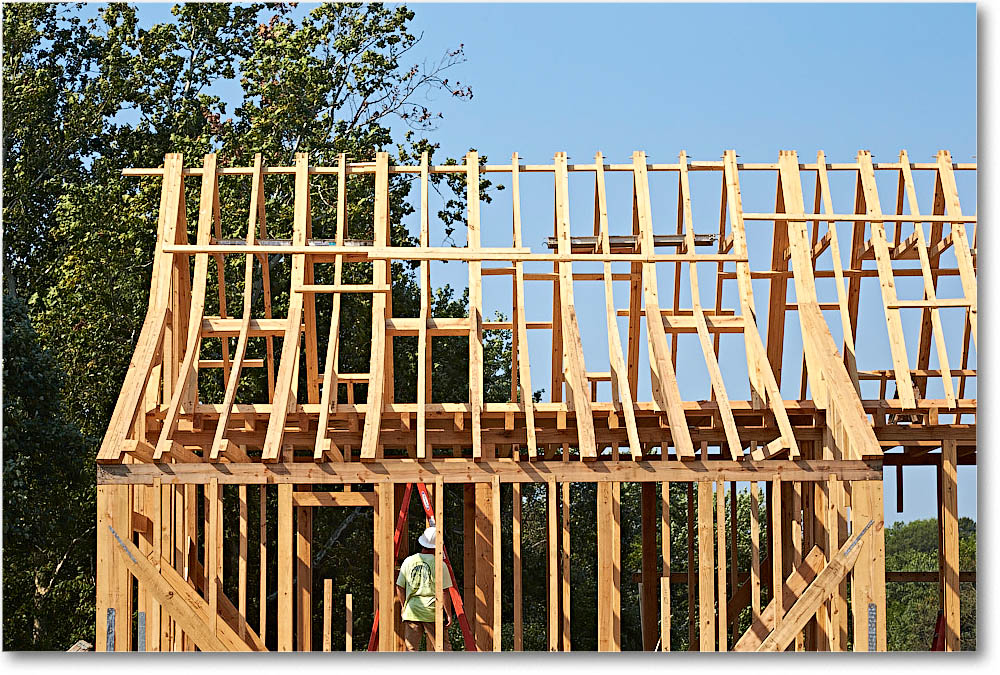 FerryFarm_Reproduction_2016Sept_2DXB3597