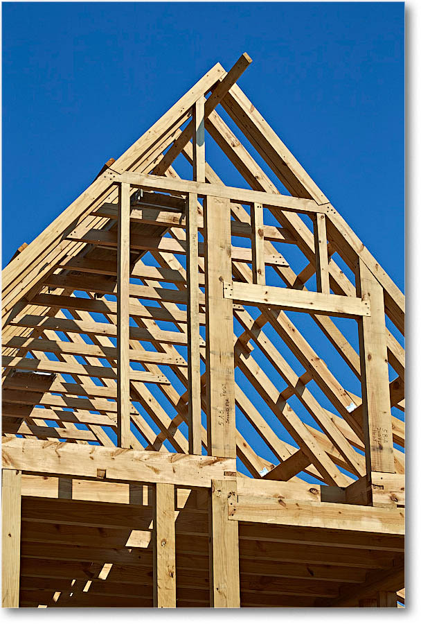 FerryFarm_Reproduction_2016Sept_2DXB3604