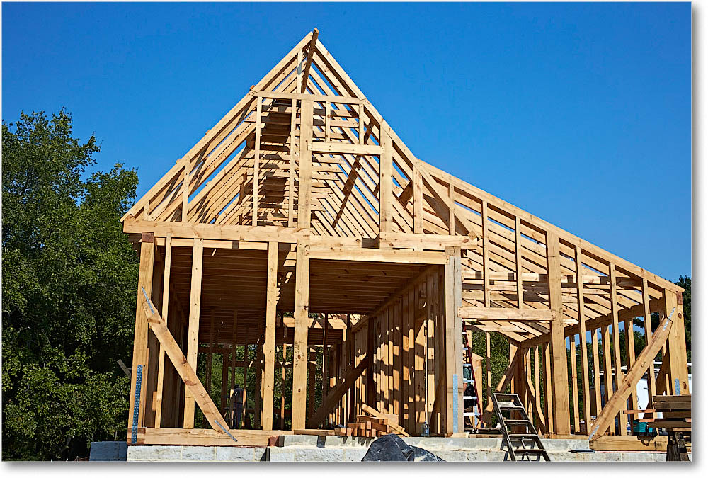 FerryFarm_Reproduction_2016Sept_2DXB3605