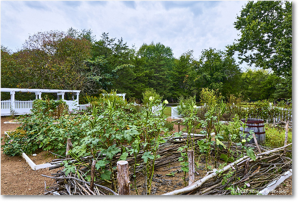 Garden_FerryFarm_2025Sep_R5D02152-54_HDR