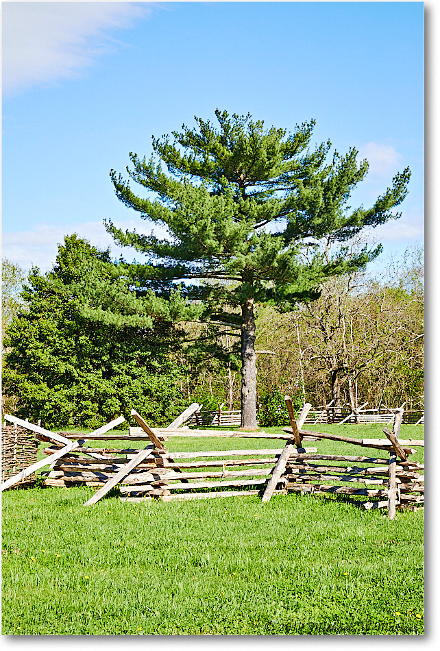FerryFarm_Grounds_2019Apr_5D4A1297 copy