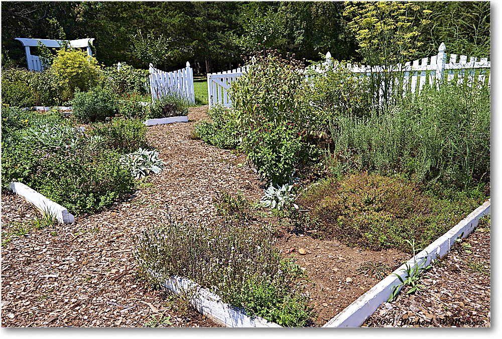 FerryFarm_Garden_2021Aug_R5B04154 copy