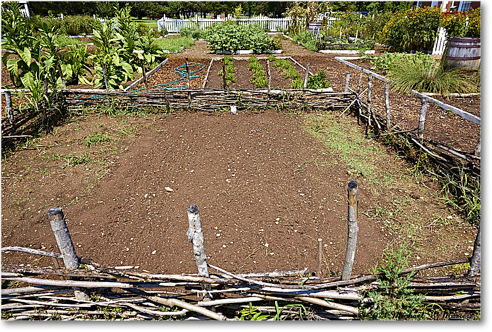 FerryFarm_Garden_2021Aug_R5B04156 copy