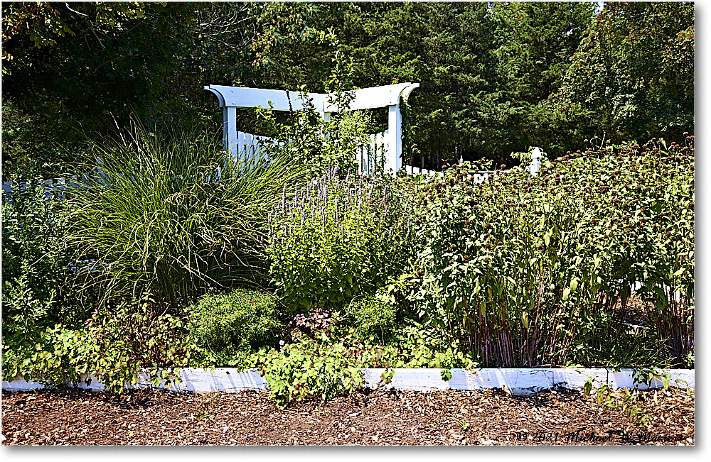FerryFarm_Garden_2021Aug_R5B04163 copy