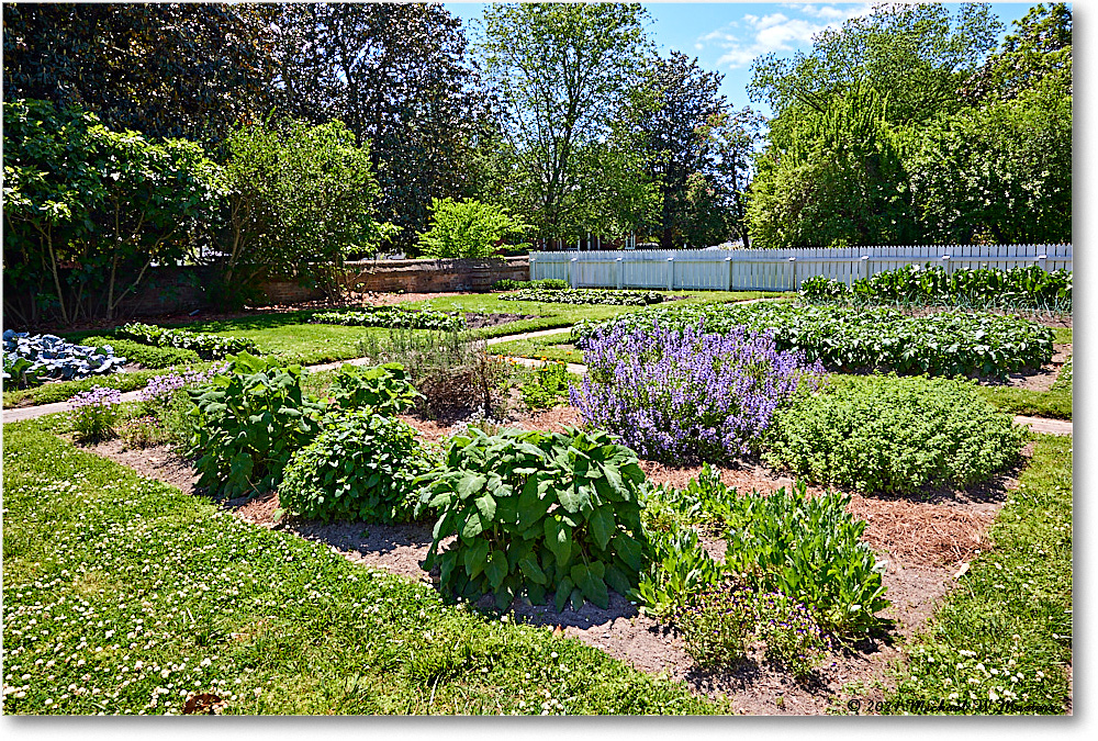 Williamsburg_WytheHouse_2021May_R5A03073 copy