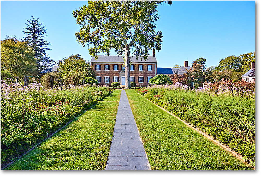 ChathamManor_2020Oct_R5B00015 copy