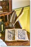 HughMercerApothecary_2023Aug_R5B12212 copy