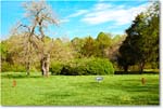 JacksonShrine_HouseSiteChandler_2019Apr_5D4A1362 copy