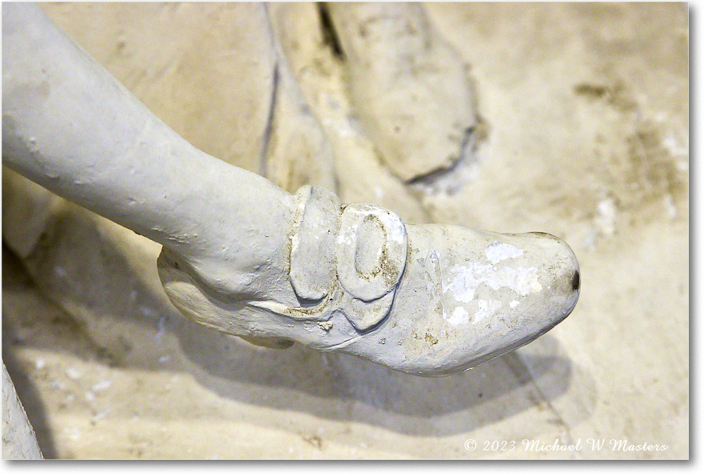 Diplomat_JamesMonroeMuseum_2023Sep_R5B12918 copy