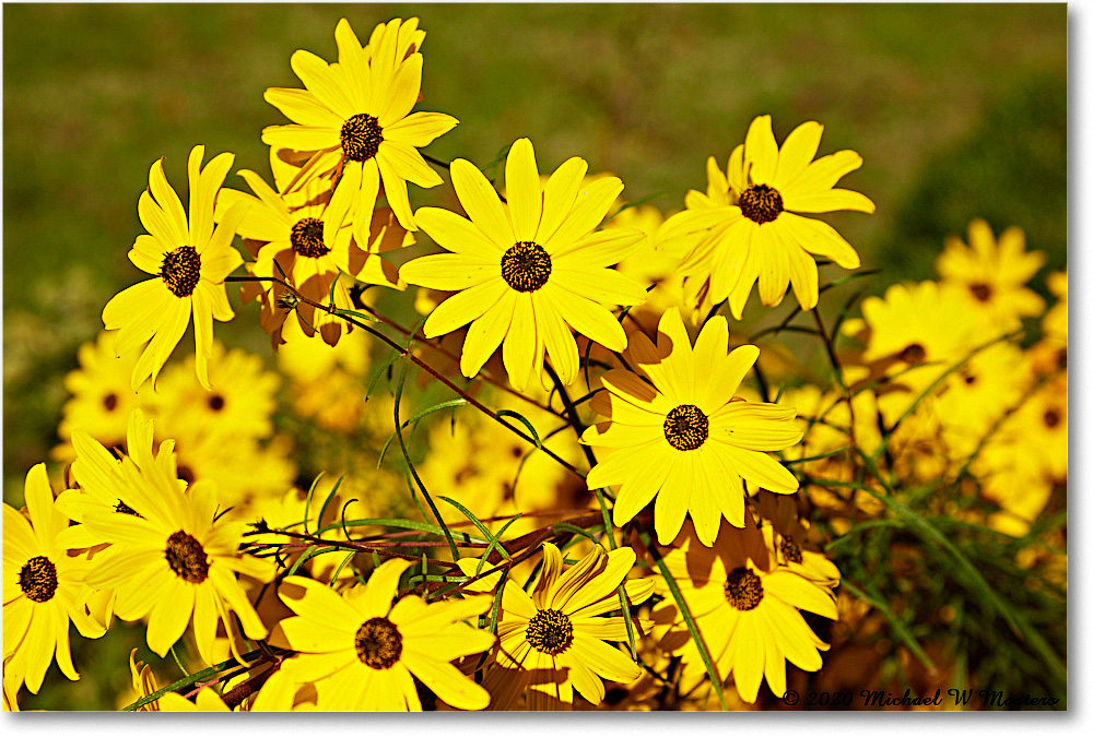 Kenmore_2020Oct_R5B00063