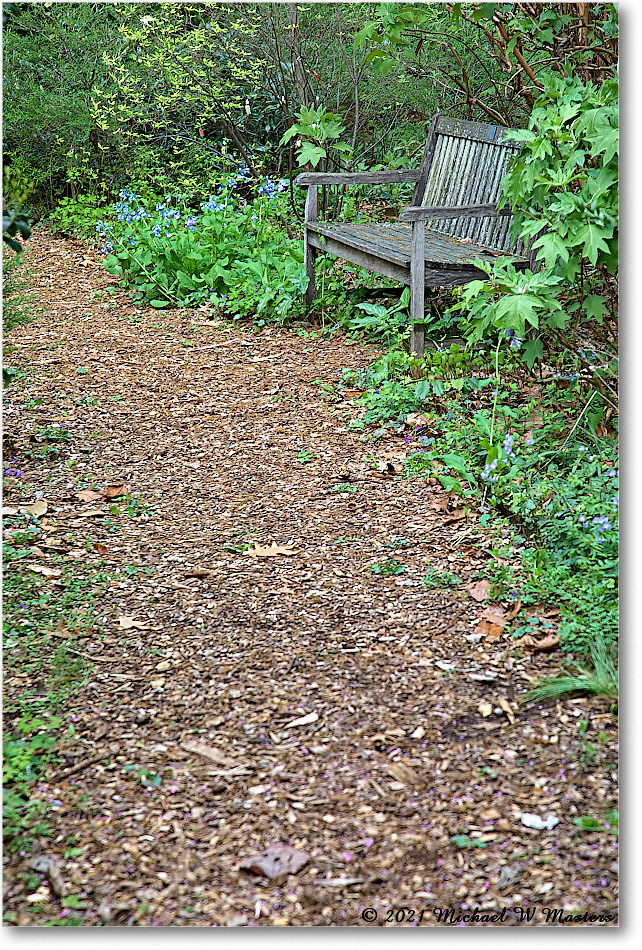 Kenmore_2021Apr_5DB02267-TS-softness