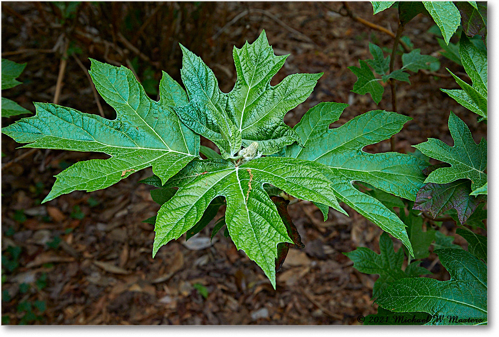 Kenmore_2021Apr_5DB02268