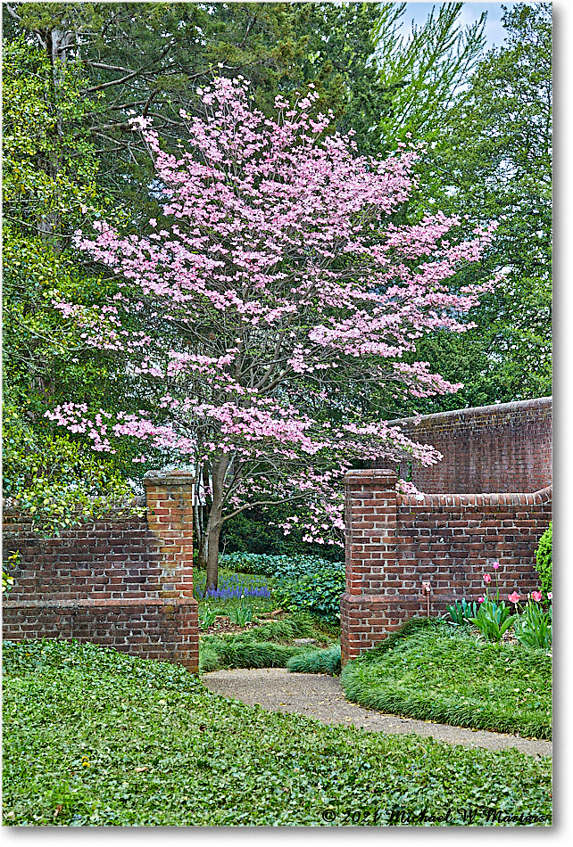 Kenmore_2021Apr_5DB02272